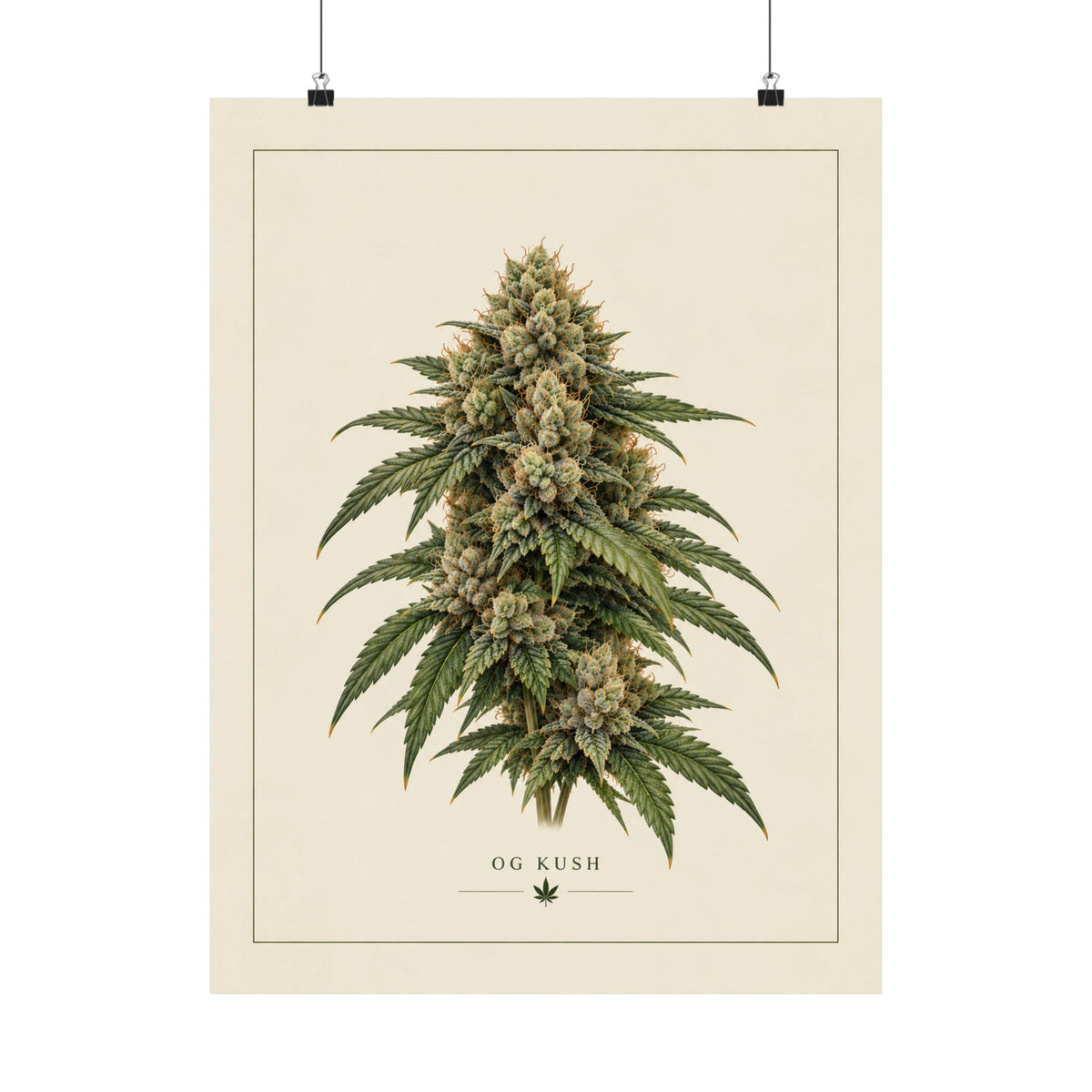 OG Kush Botanical Poster — Matte Vertical Cannabis Art Print