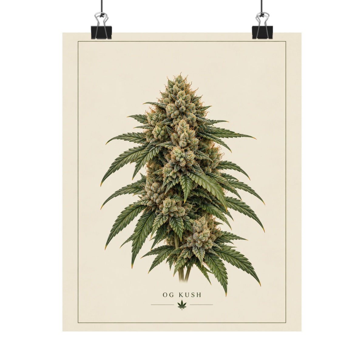 OG Kush Botanical Poster — Matte Vertical Cannabis Art Print