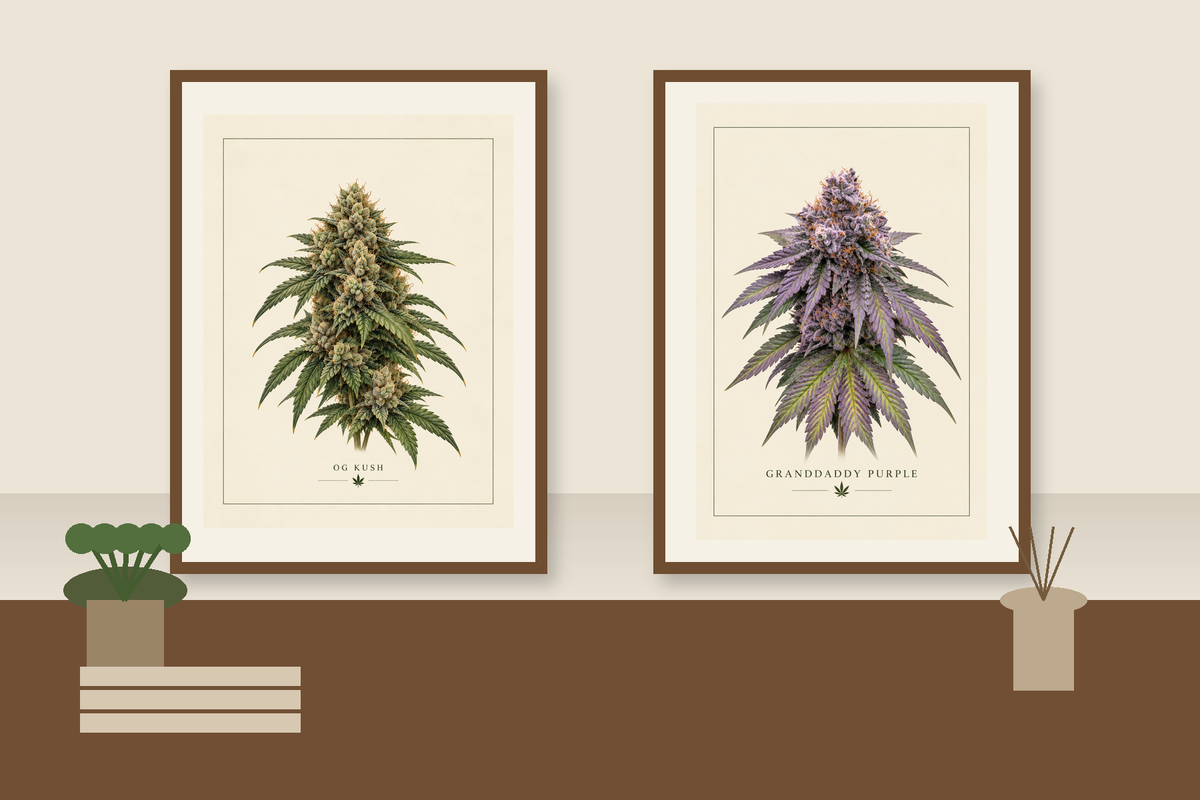 Granddaddy Purple Botanical Poster — Matte Vertical Cannabis Art Print