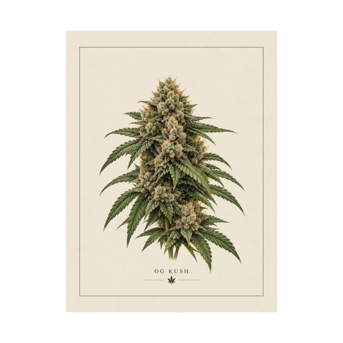 OG Kush Botanical Poster — Matte Vertical Cannabis Art Print